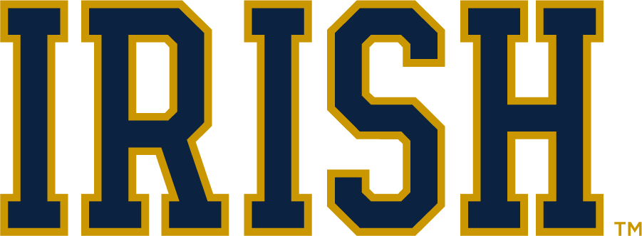 Notre Dame Fighting Irish 2015-Pres Wordmark Logo v4 diy iron on heat transfer